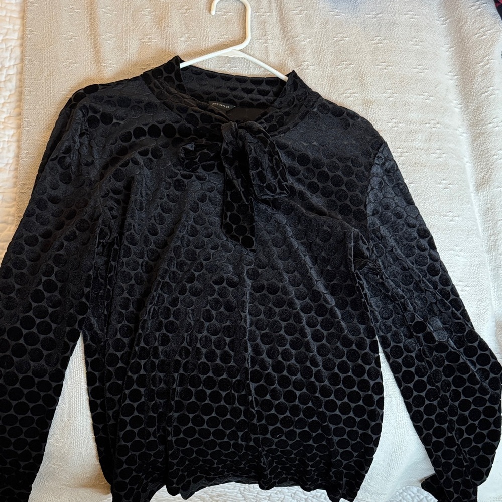 Elegant Black Velvet Polka Dot Women's Top